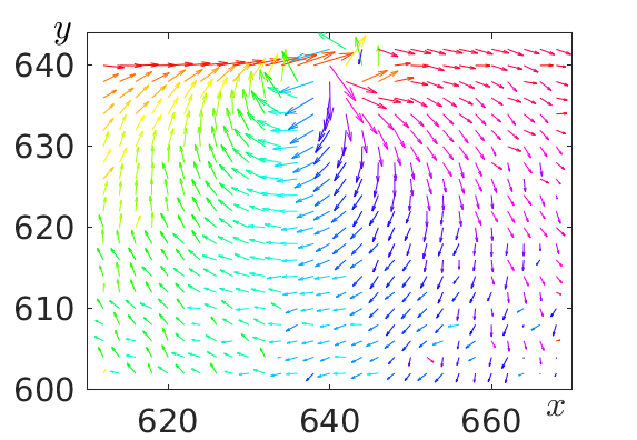 Dipole flow